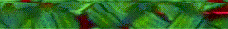 AppleMC